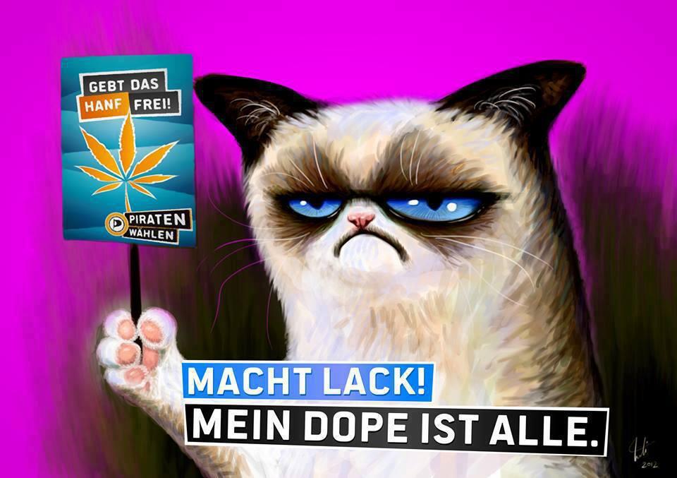 Grumyp Cat mit Text Macht Lack! Mein Dope ist alle